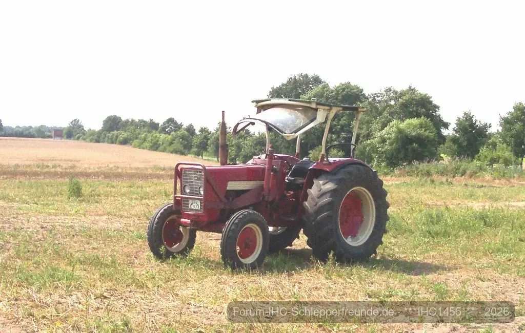 Unser 624 im sommer