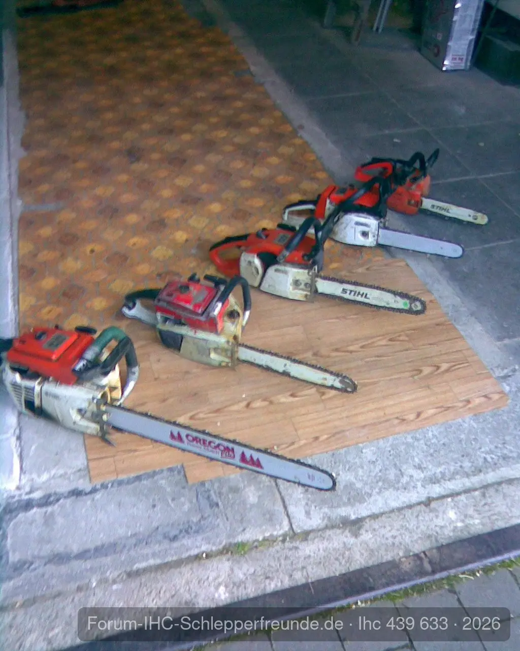 Unsere Fichtenmopeds !!!