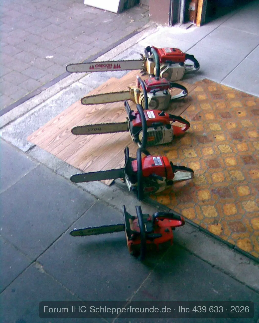 Unsere Fichtenmopeds !!!