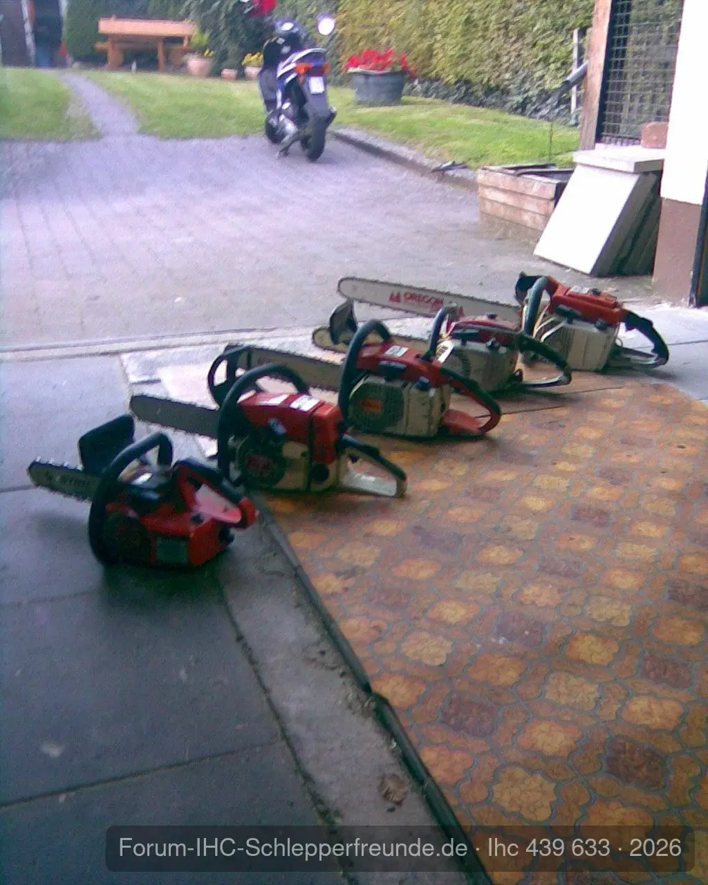 Unsere Fichtenmopeds !!!