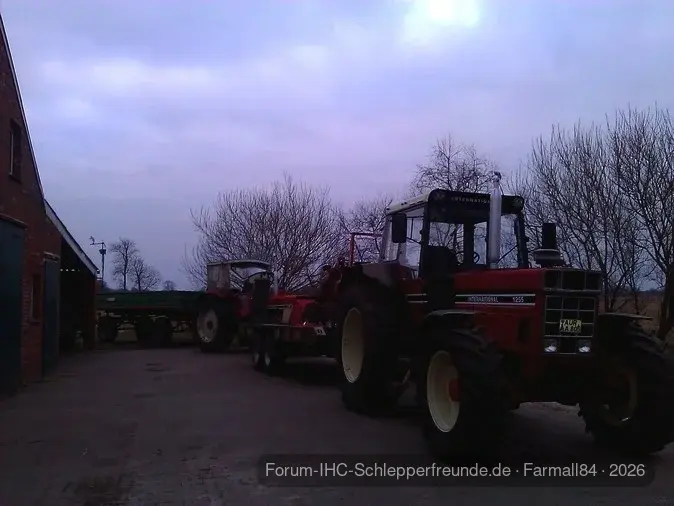 Wald 2012/2013