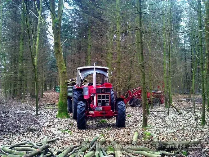 Wald 2012/2013