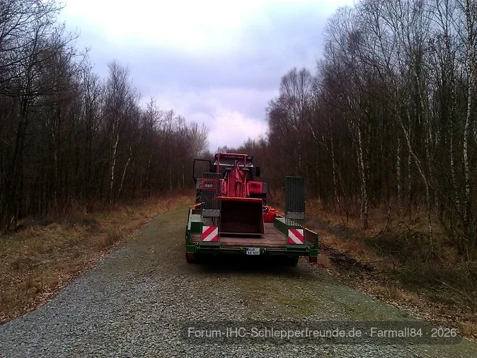 Wald 2012/2013