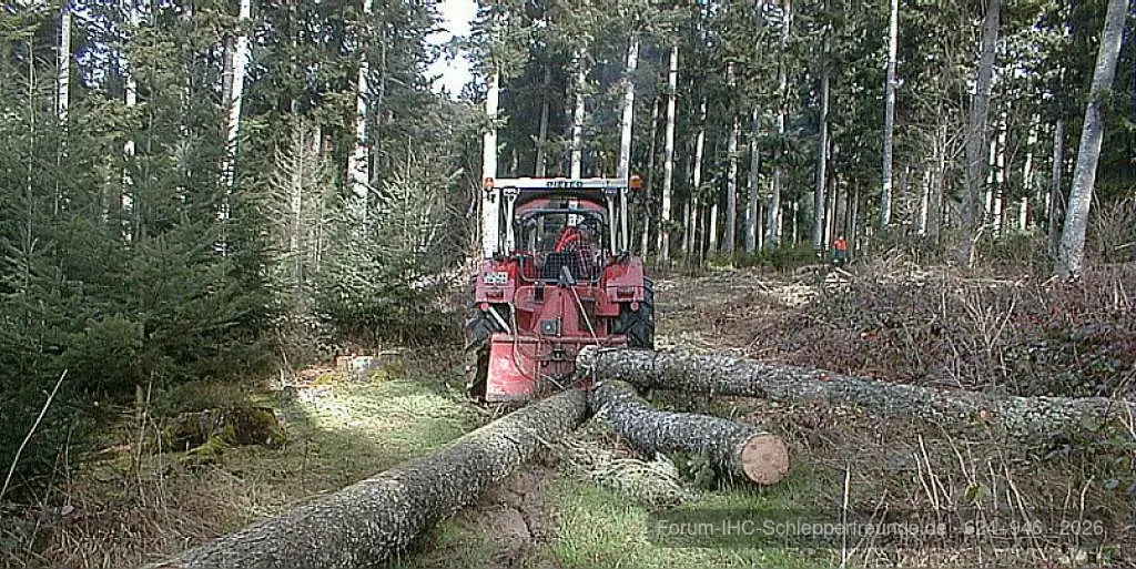 Waldaktion Käferholz