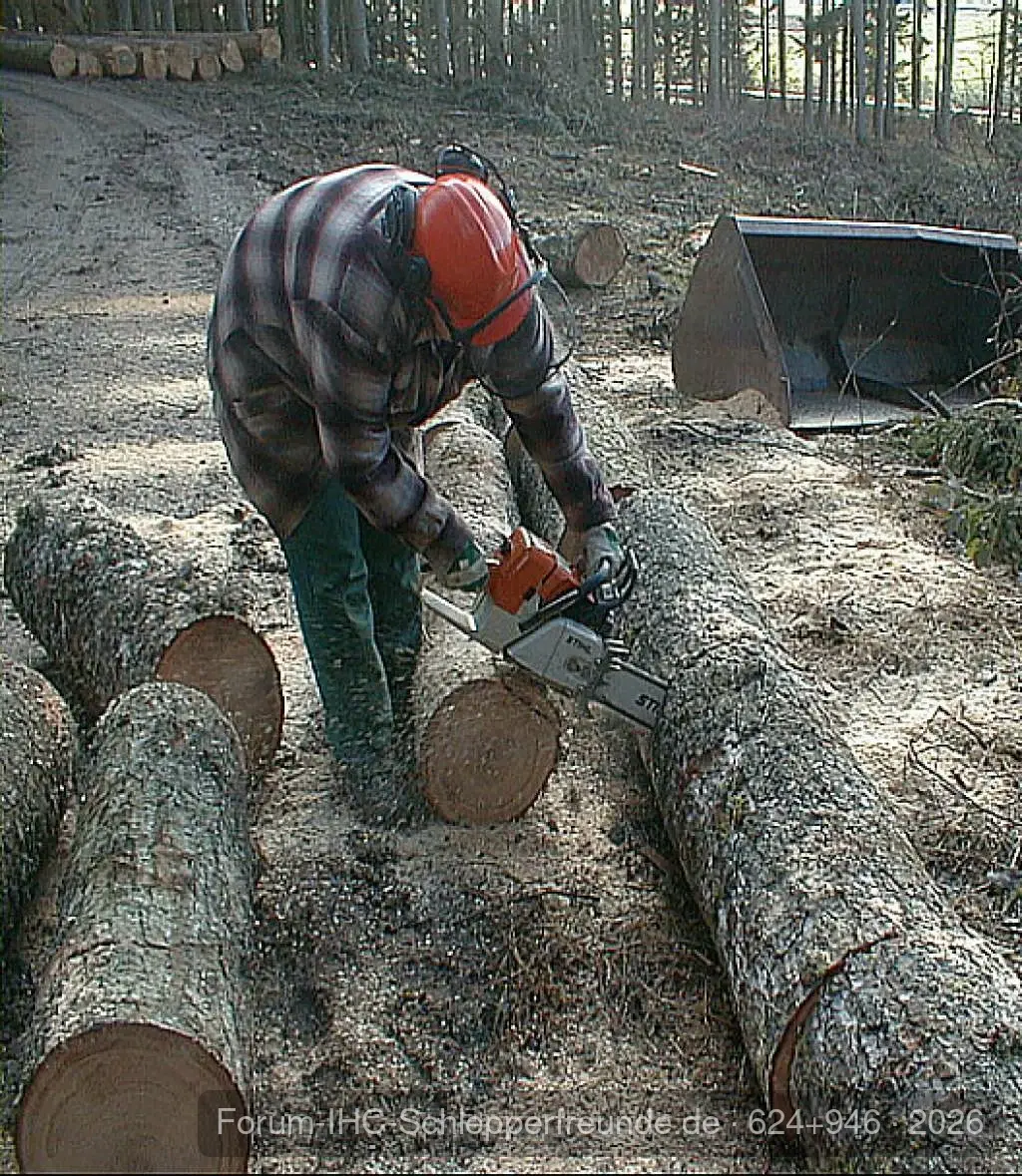 Waldaktion Käferholz