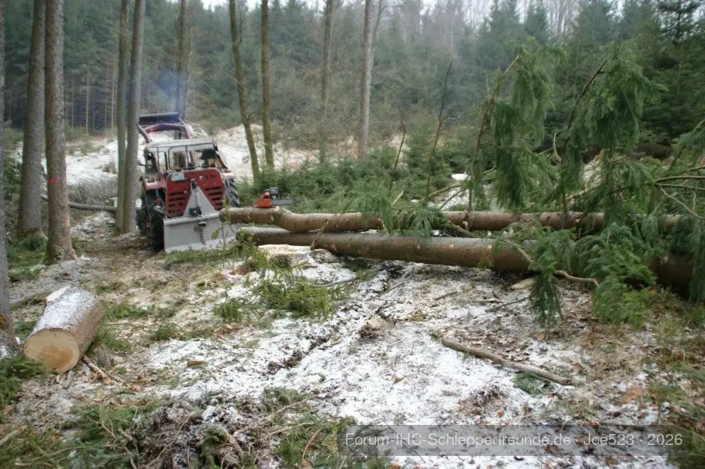 Waldeinsatz 2013