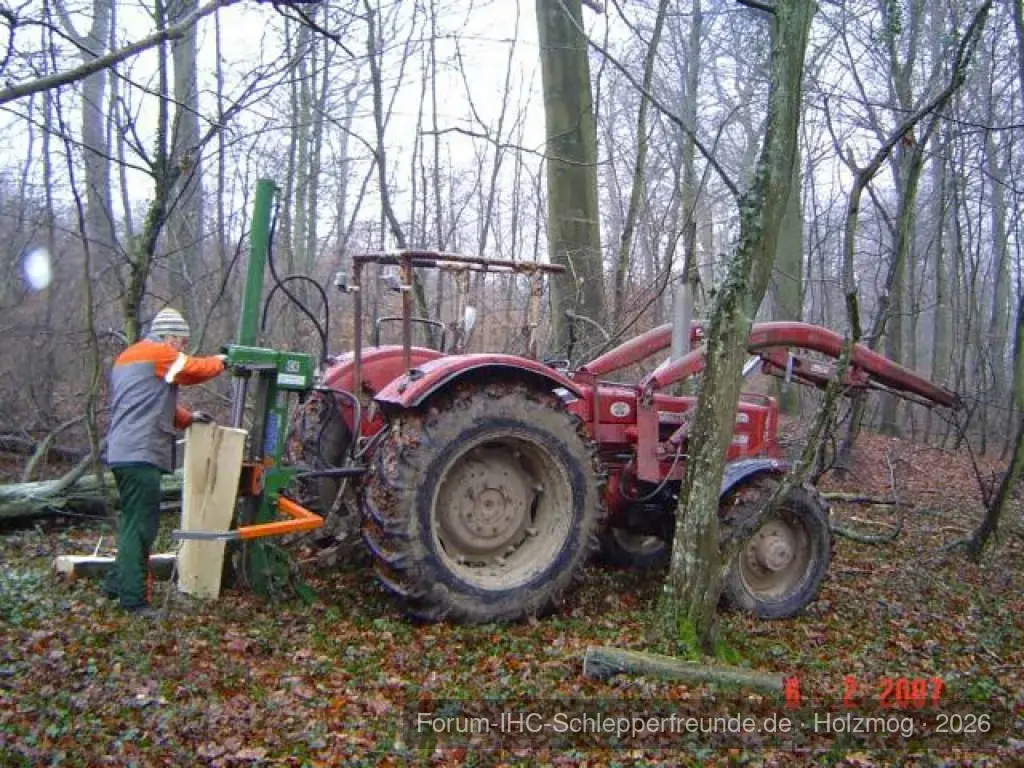 wieder holz