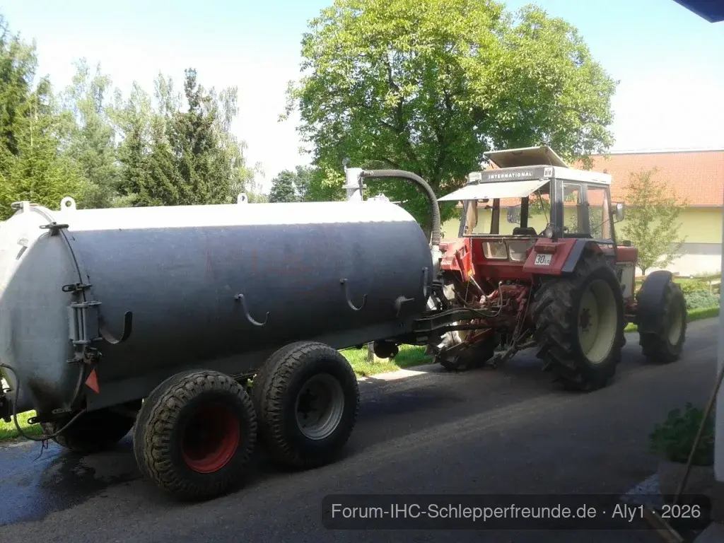 Wieder mal am Saugen
