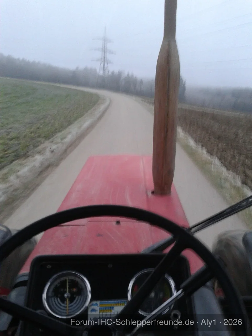 Wiedermal auf ins Holz