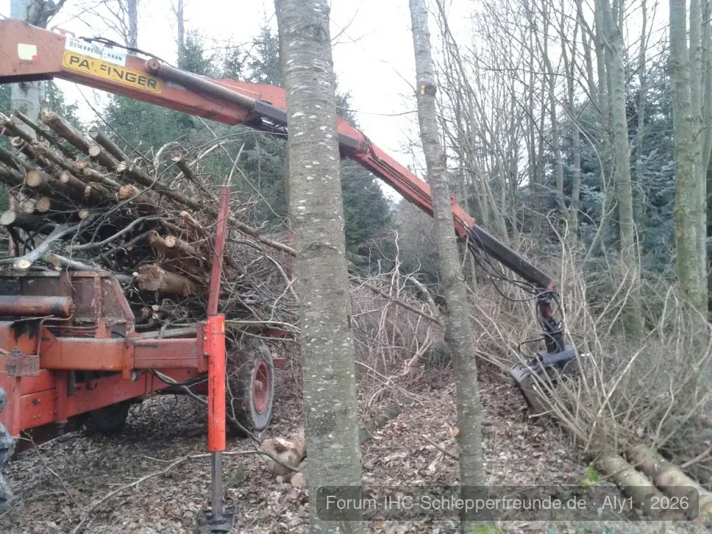 Wiedermal im Holz