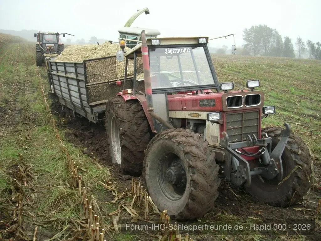 Wirklich im Feld