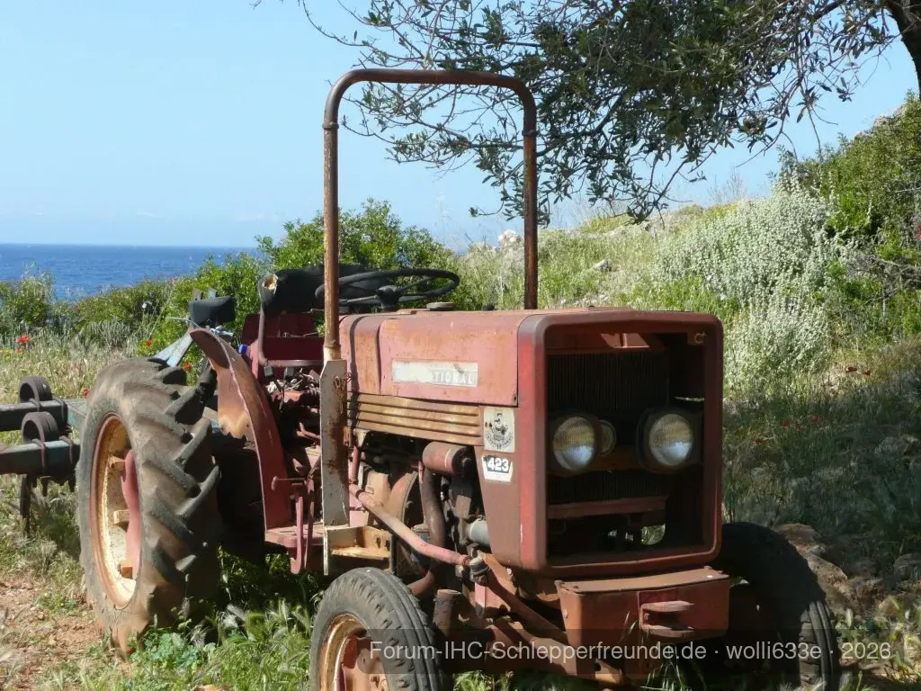 wolli633e
