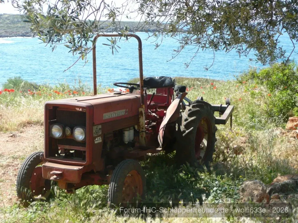 wolli633e