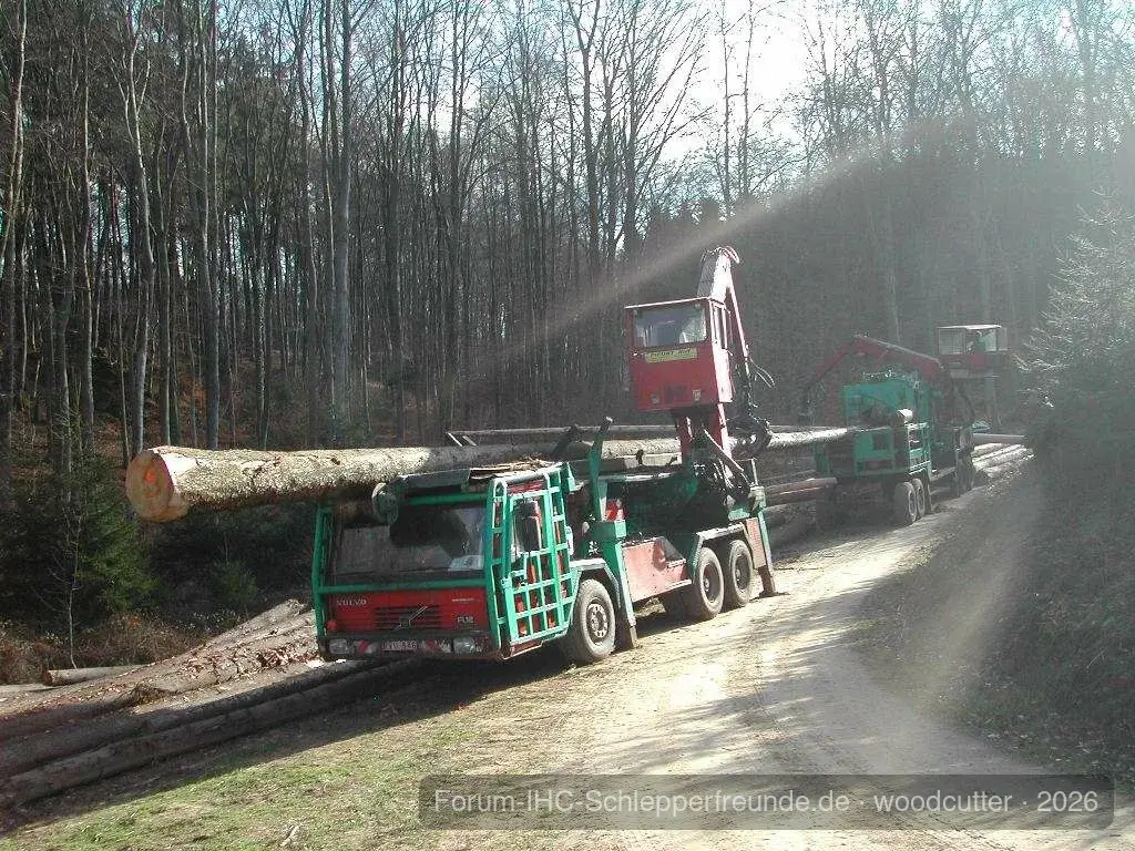 woodcutter