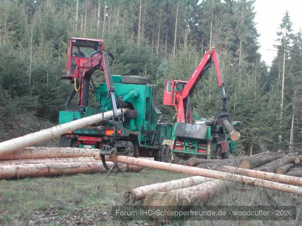 woodcutter