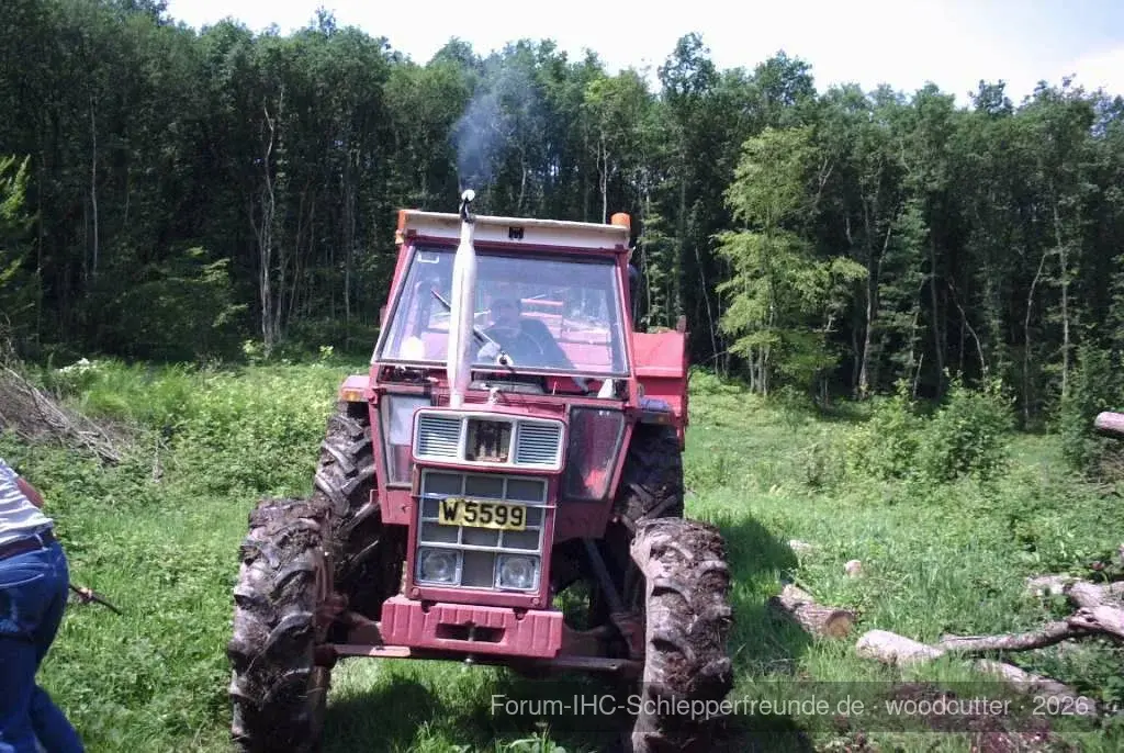 woodcutter