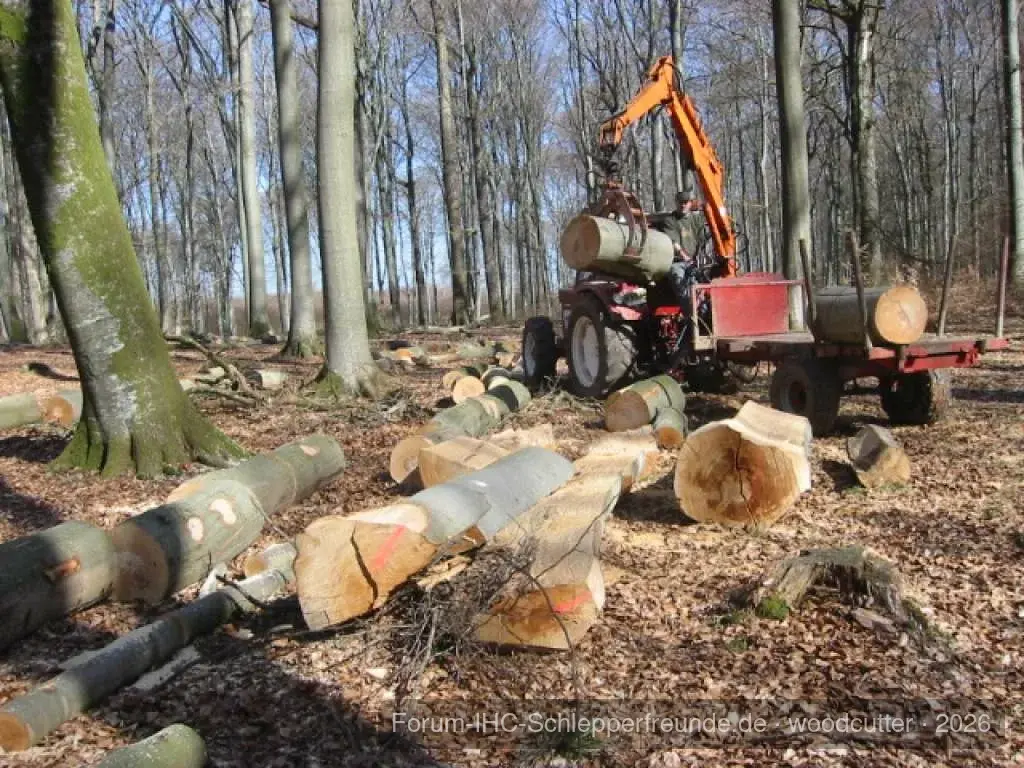 woodcutter