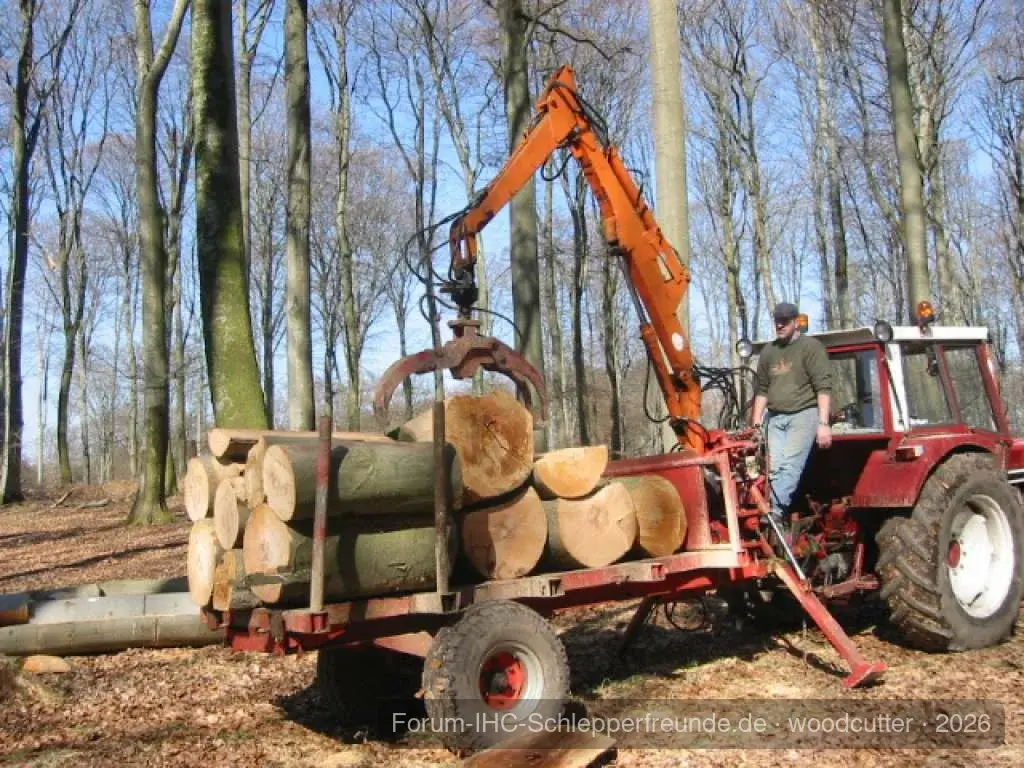 woodcutter